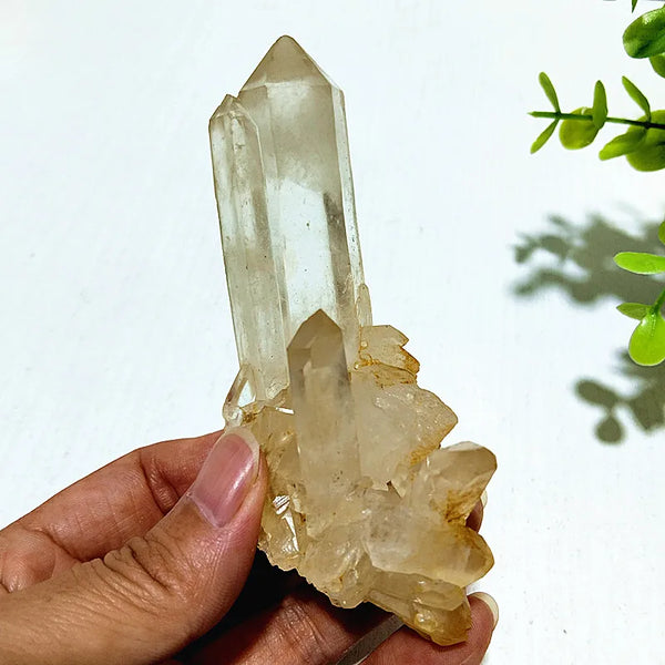 Clear Crystal Cluster-ToShay.org