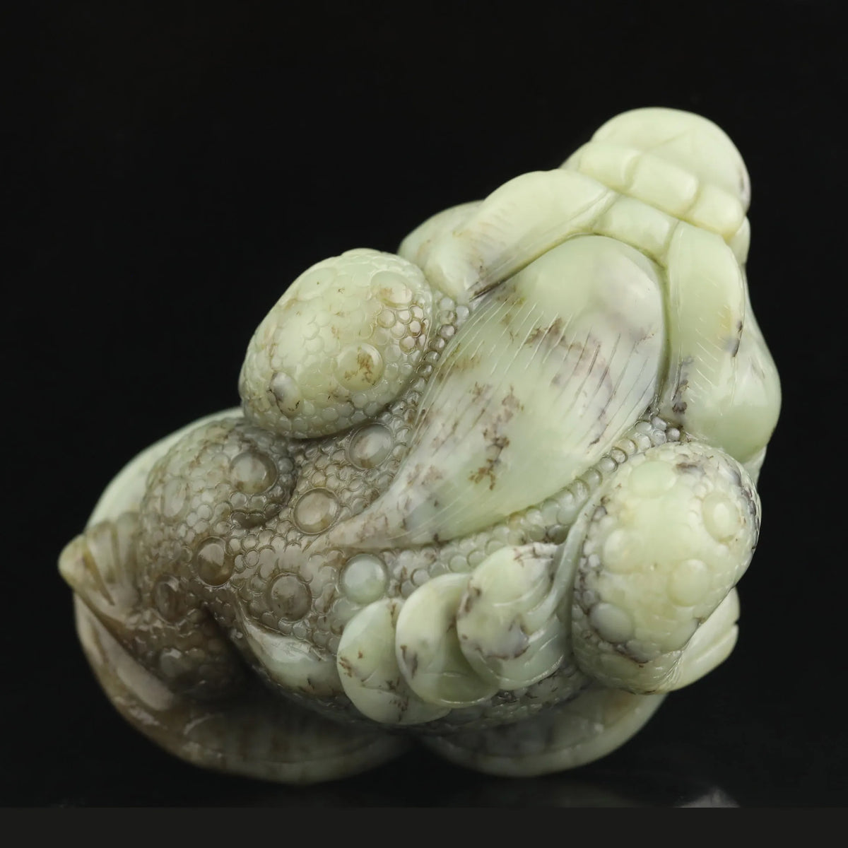 Green Jade Frog-ToShay.org