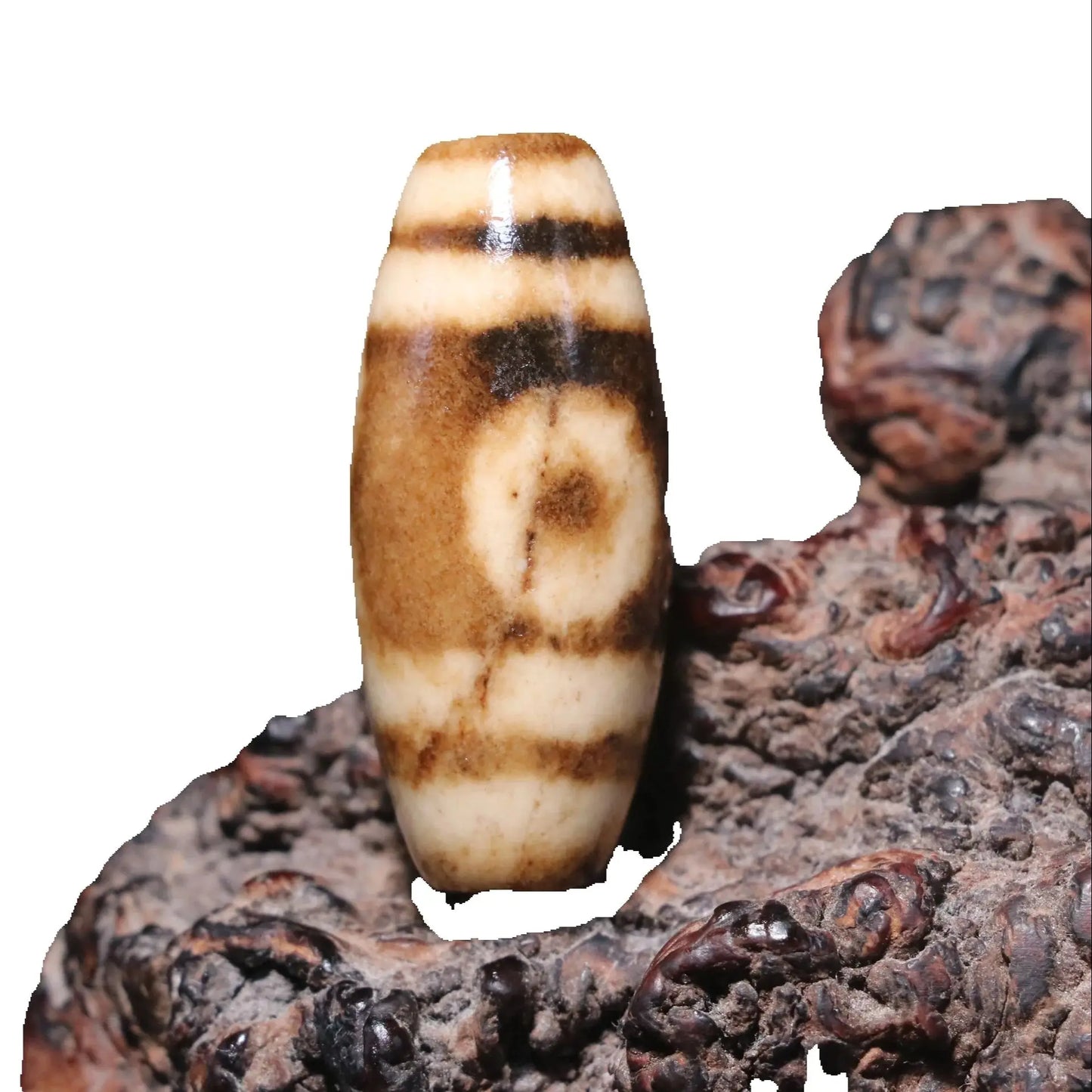Tibetan Agate Eye Dzi Bead-ToShay.org