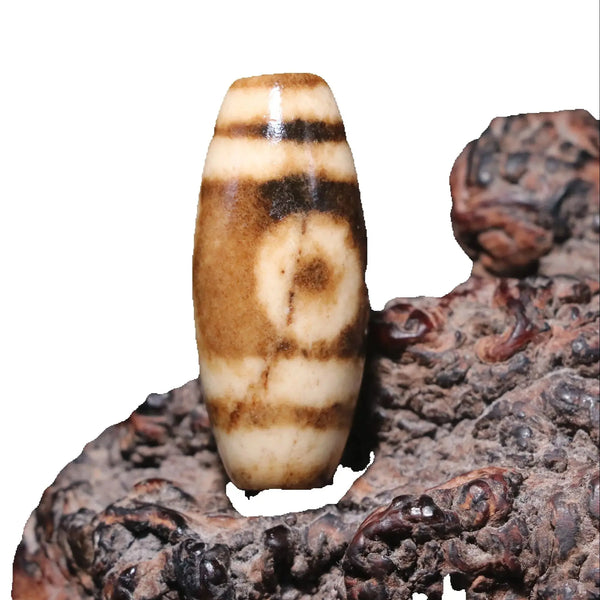Tibetan Agate Eye Dzi Bead-ToShay.org