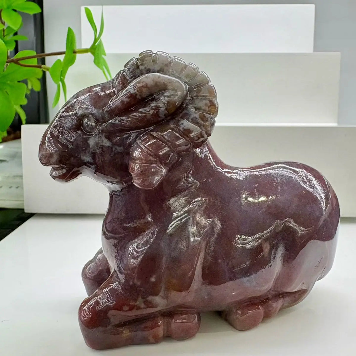 Mixed Agate Ram-ToShay.org