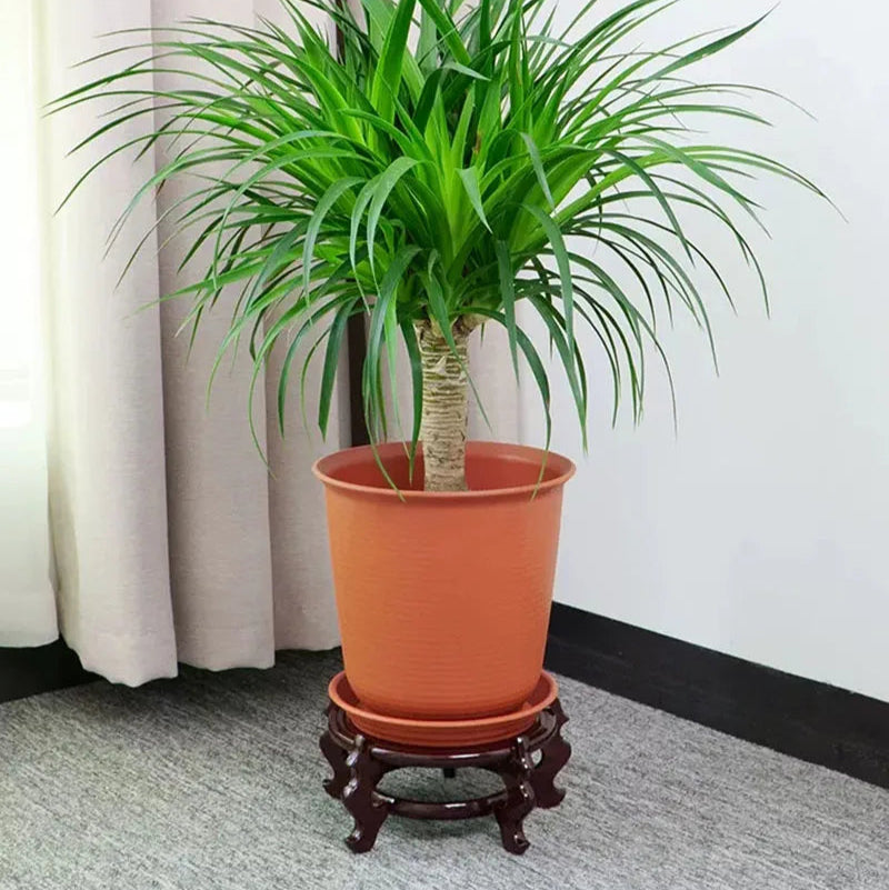 Mahogany Display Stand-ToShay.org