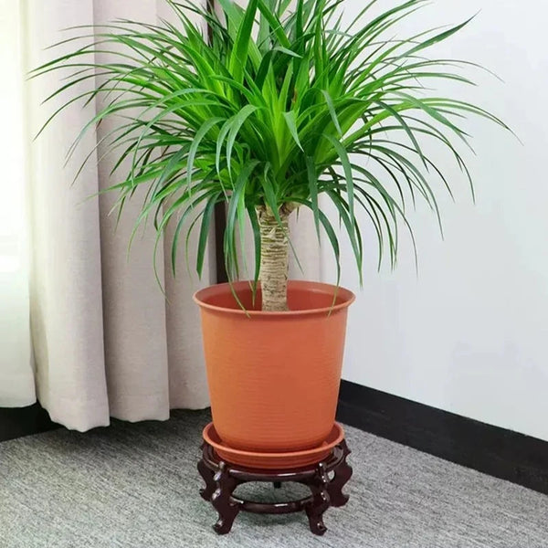 Mahogany Display Stand-ToShay.org