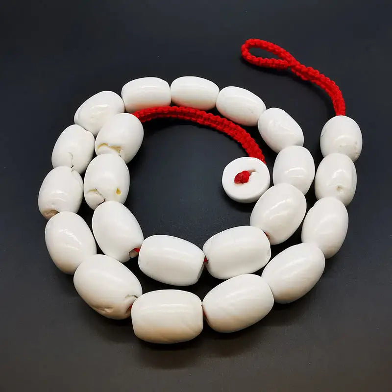 White Conch Shell Necklaces-ToShay.org