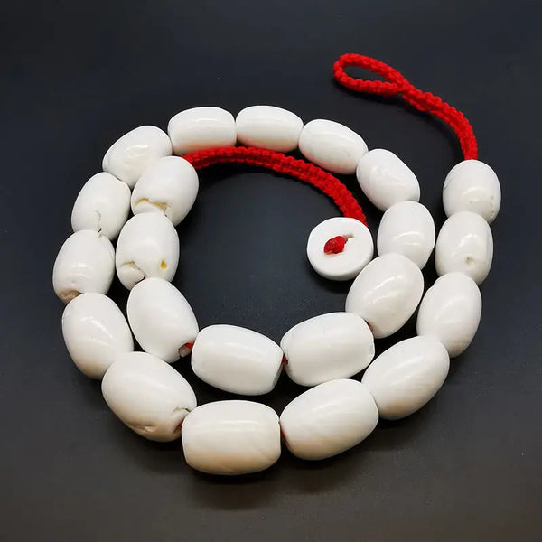White Conch Shell Necklaces-ToShay.org