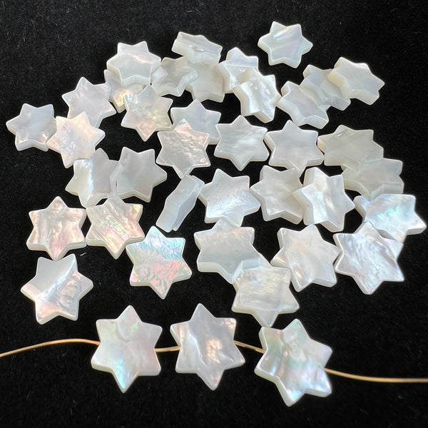 White Shell Stars-ToShay.org