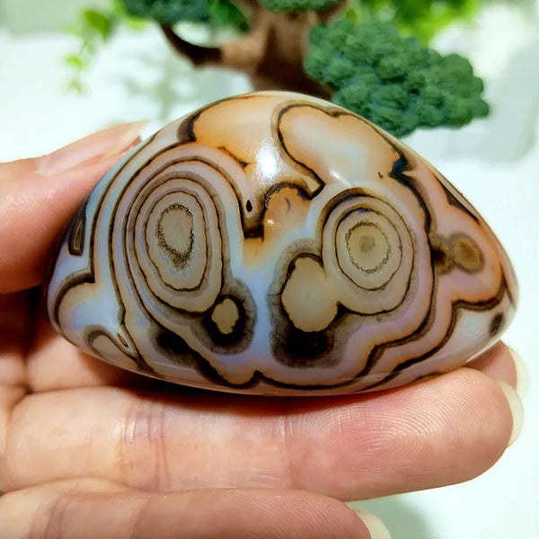 Red Lace Sardonyx Agate-ToShay.org
