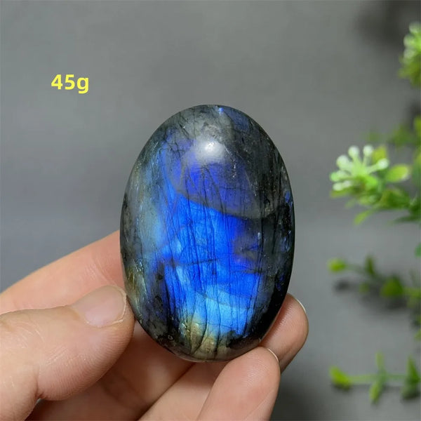 Blue Labrador Palm Stone-ToShay.org