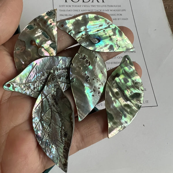 Green Abalone Leaf-ToShay.org