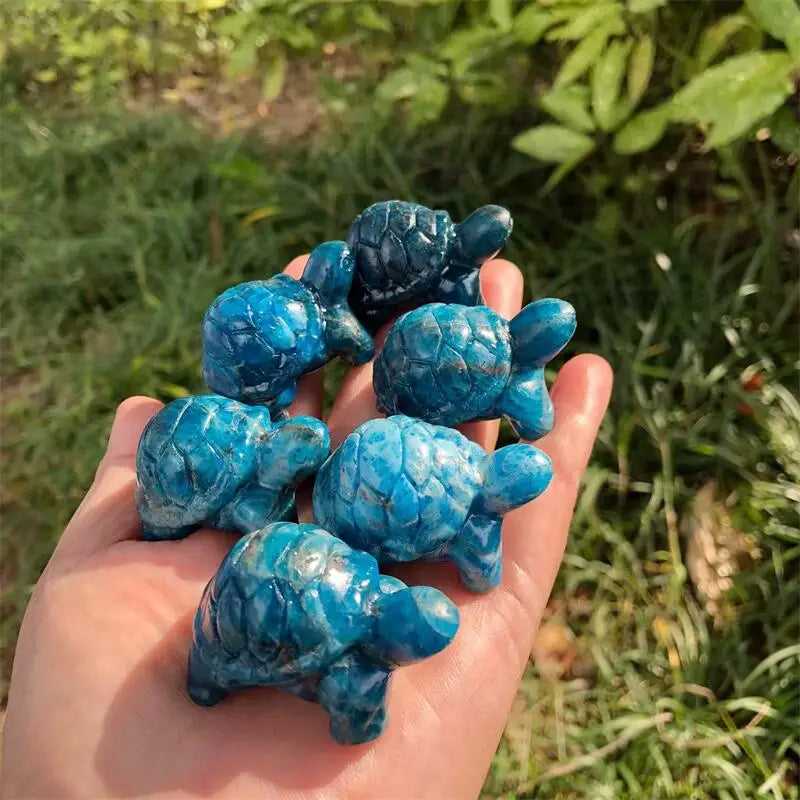 Blue Apatite Tortoise-ToShay.org