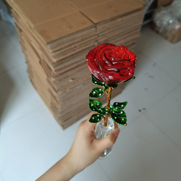 Rose Flower-ToShay.org