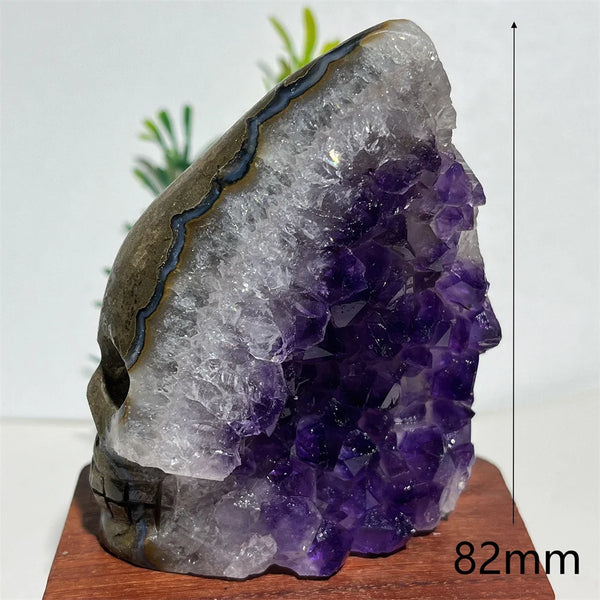 Purple Amethyst Skull Cluster-ToShay.org