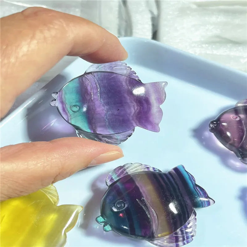 Rainbow Fluorite Fish-ToShay.org