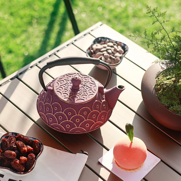 Cast Iron Tea Kettle-ToShay.org