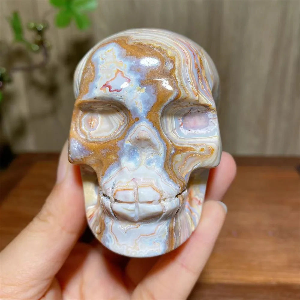 Yellow Crazy Lace Agate Skull-ToShay.org