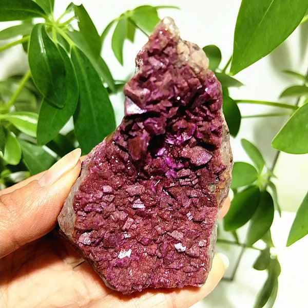 Pink Cobaltocalcite Raw Rock-ToShay.org