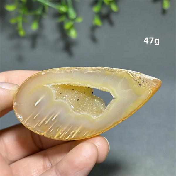 Yellow Agate Slice-ToShay.org