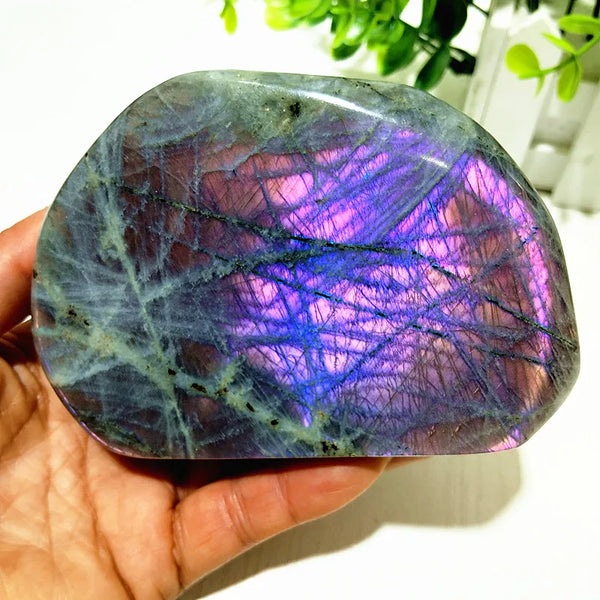 Violet Labradorite Crystal-ToShay.org
