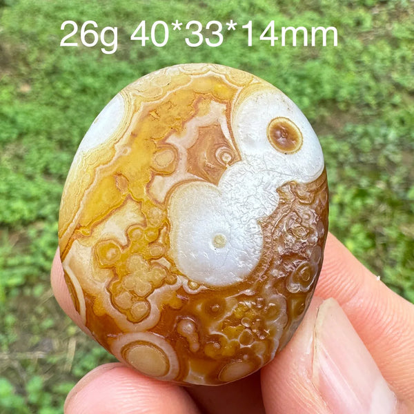 Brown Gobi Eye Agate-ToShay.org
