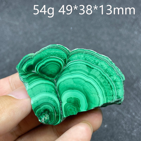 Green Malachite Slice-ToShay.org