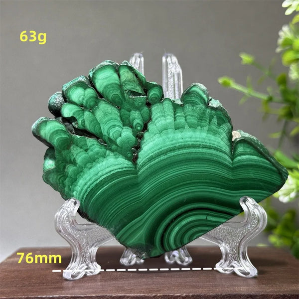 Green Malachite Slice-ToShay.org