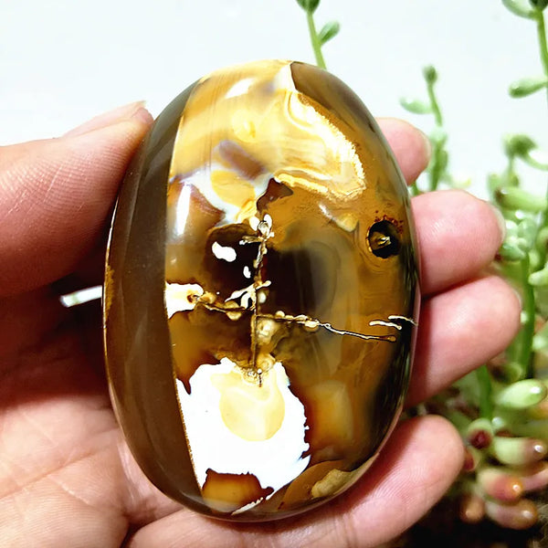 Mixed Lace Sardonyx Agate-ToShay.org