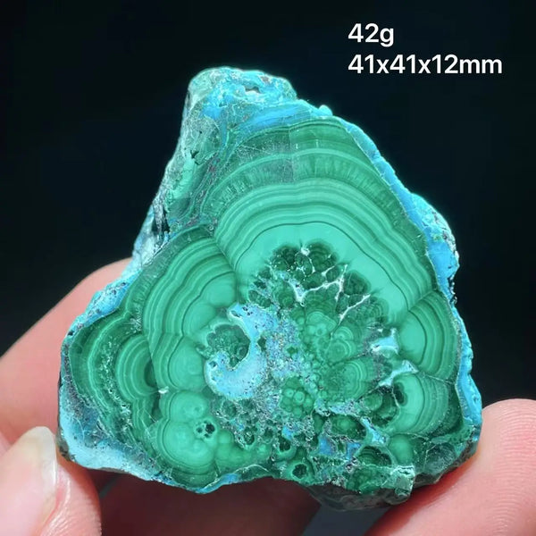 Green Chrysocolla Malachite Slice-ToShay.org