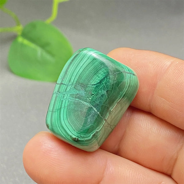 Green Malachite Tumbled Stone-ToShay.org