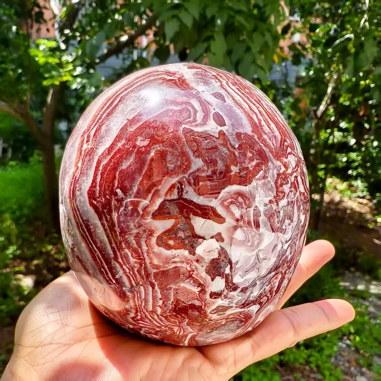 Red Agate Skull-ToShay.org