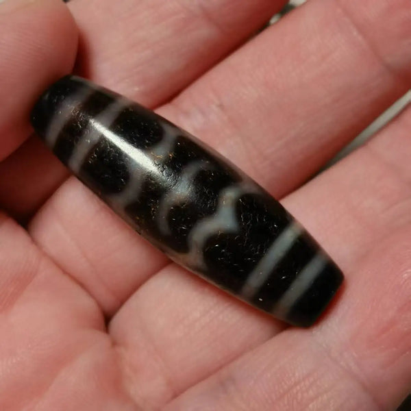Tibetan Tiger Tooth Dzi Bead-ToShay.org