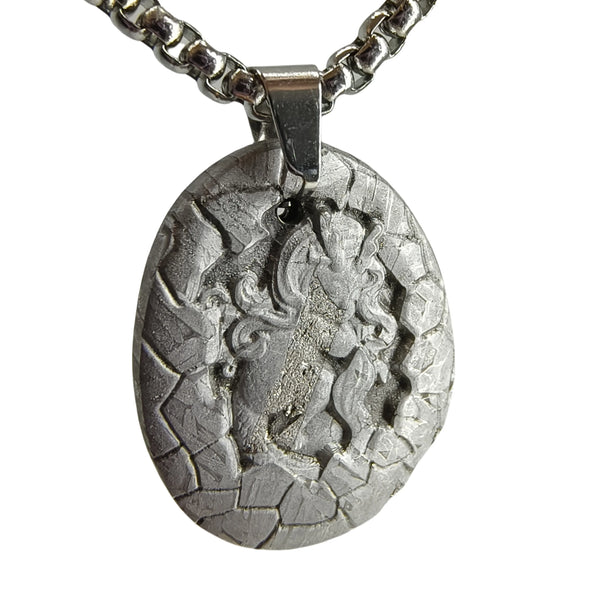 Iron Meteorite Pendant-ToShay.org