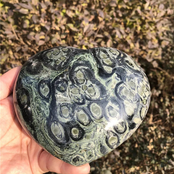 Green Peacock Eye Jasper-ToShay.org