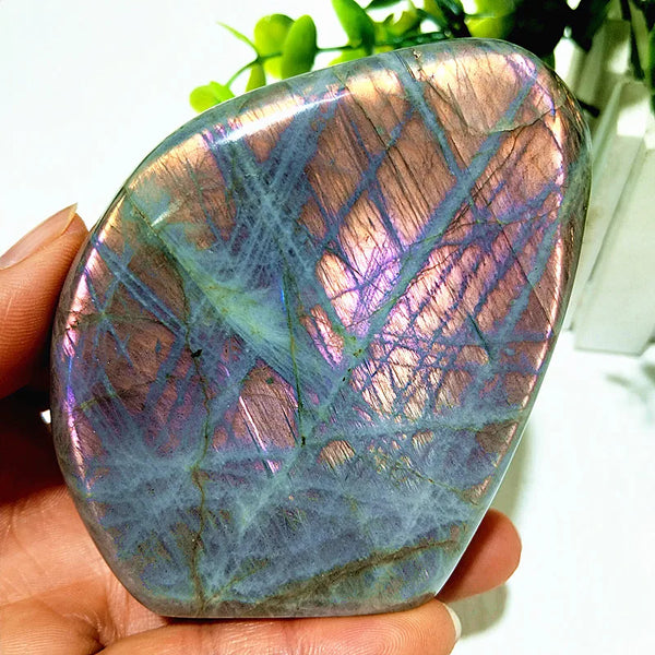 Violet Labradorite Crystal-ToShay.org