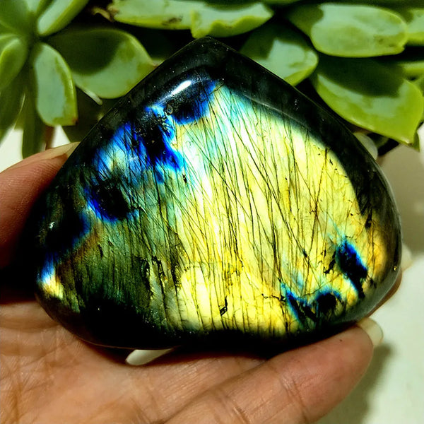 Blue Labrador Stone Heart-ToShay.org