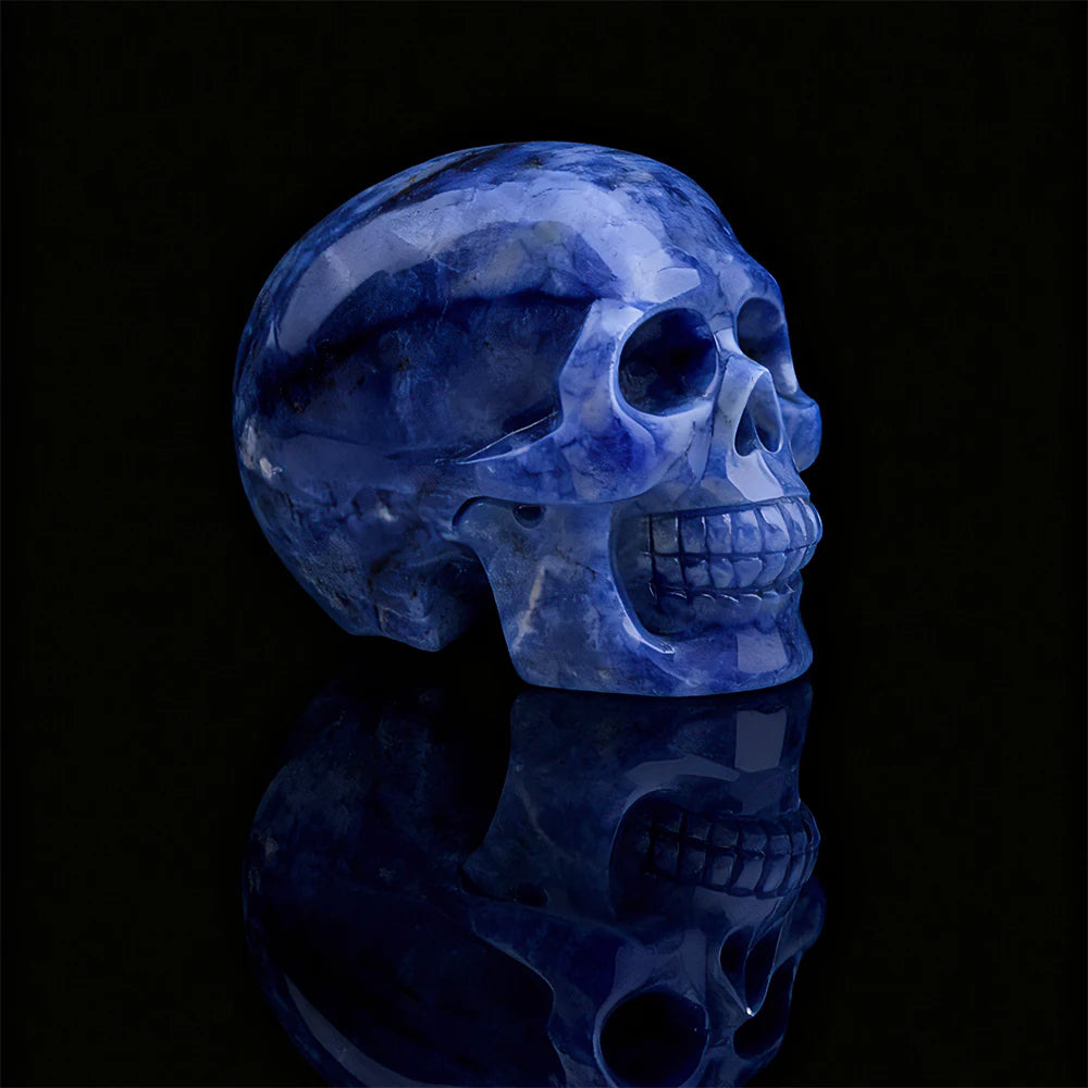 Blue White Porcelain Skull-ToShay.org