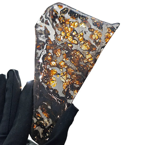 Olive Meteorite Slice-ToShay.org