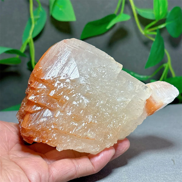 White Melaleuca Calcite Crystal-ToShay.org