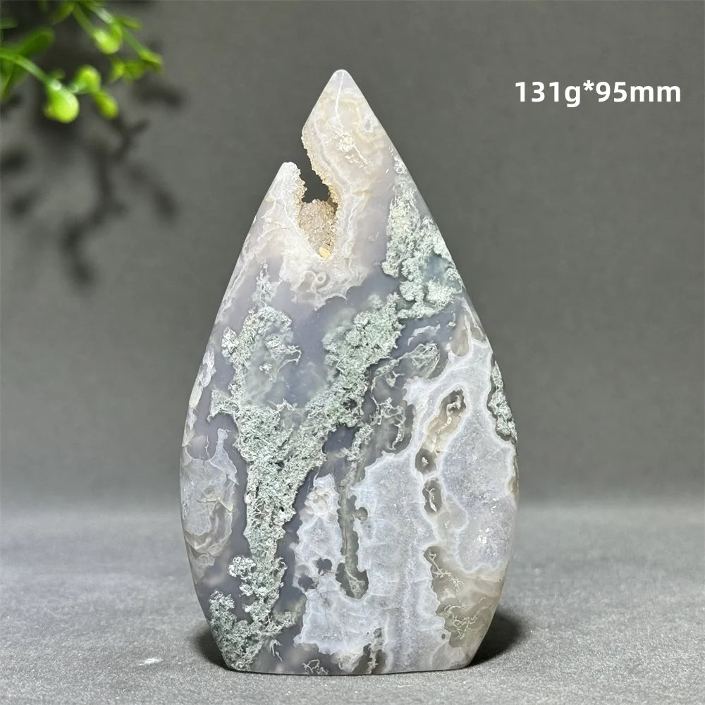 Green Aquatic Plant Agate-ToShay.org