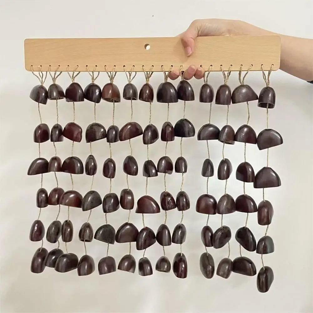 Shell Fruit Chimes-ToShay.org