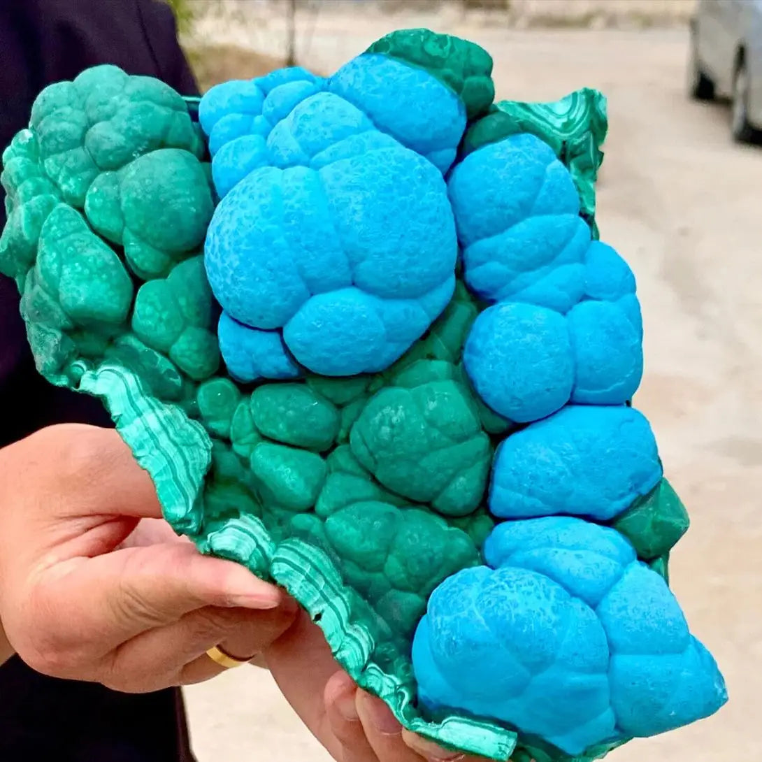 Green Malachite Symbiosis-ToShay.org