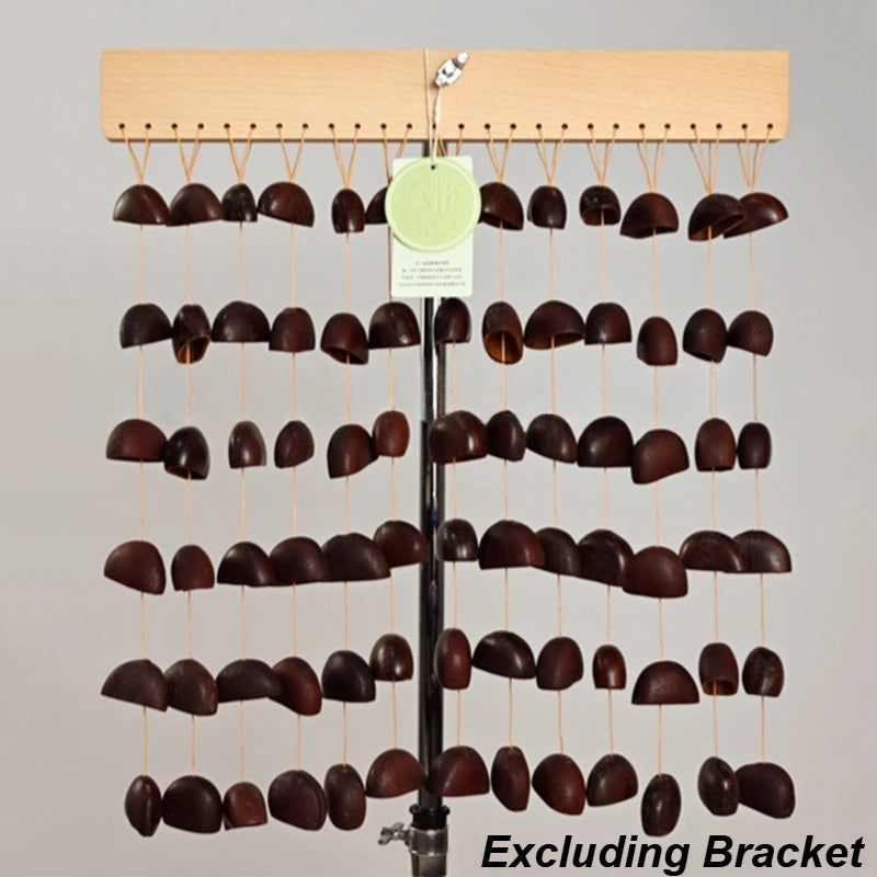 Shell Nut Wind Chimes-ToShay.org
