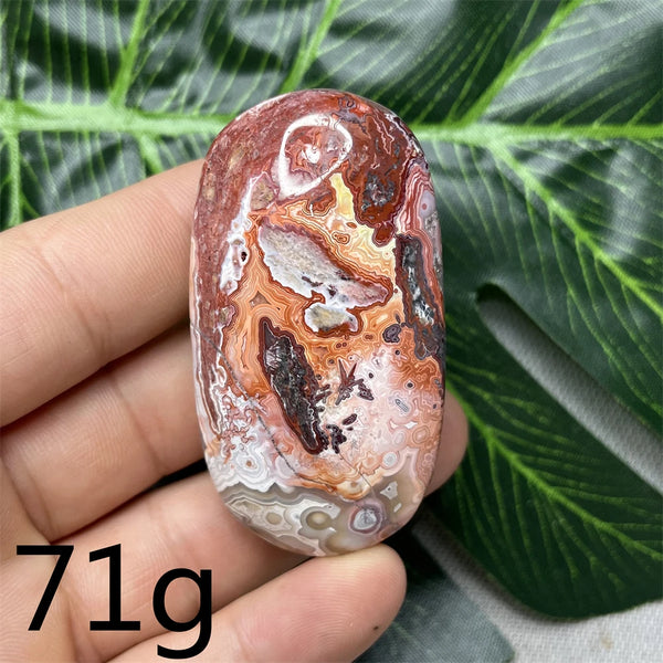 Red Crazy Agate Palm Stone-ToShay.org