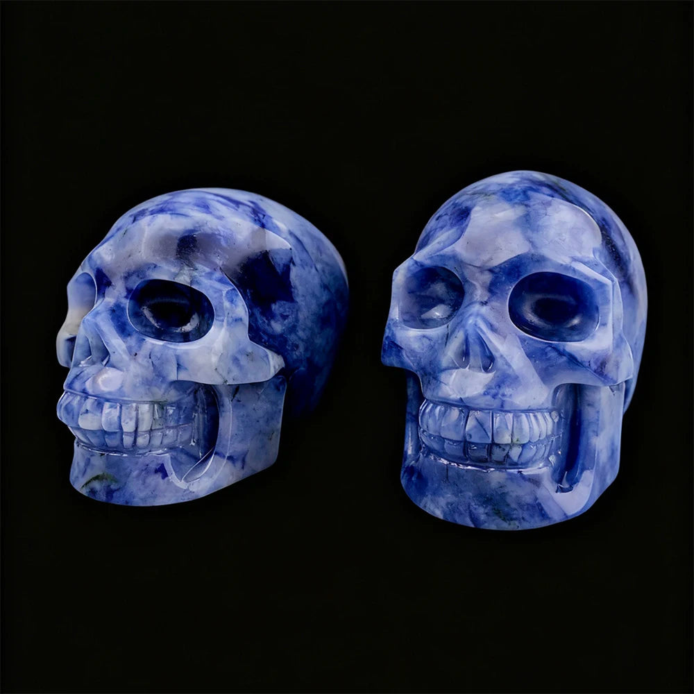 Blue White Porcelain Skull-ToShay.org