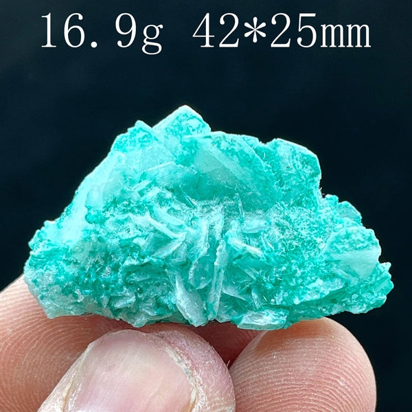 Green Antlerite Quartz Crystal-ToShay.org