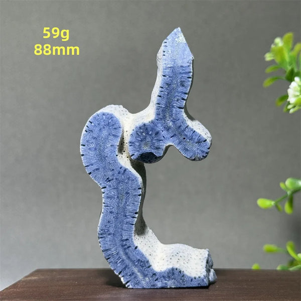 Blue Coral Crystal-ToShay.org