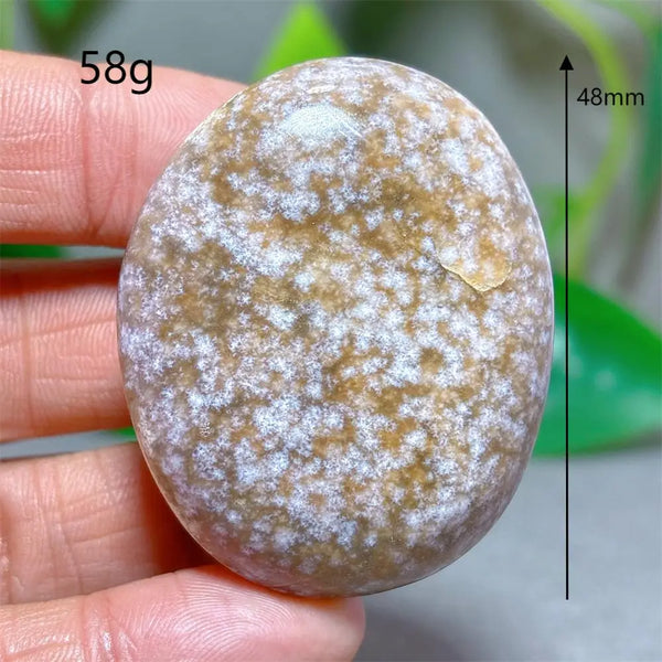 Ocean Jasper Palm Stone-ToShay.org