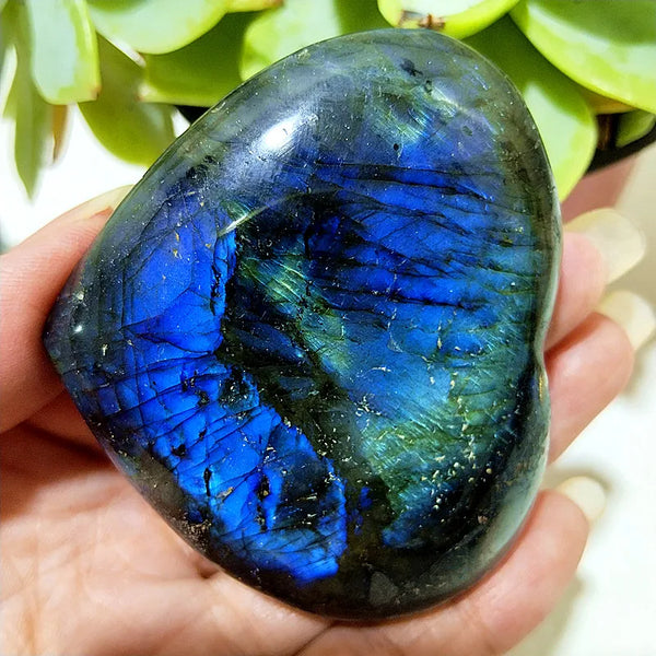 Blue Labrador Stone Heart-ToShay.org