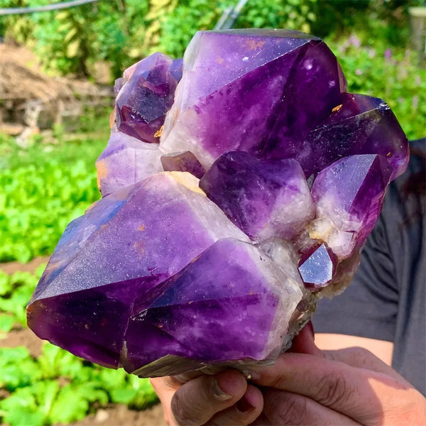 Purple Amethyst Cluster-ToShay.org