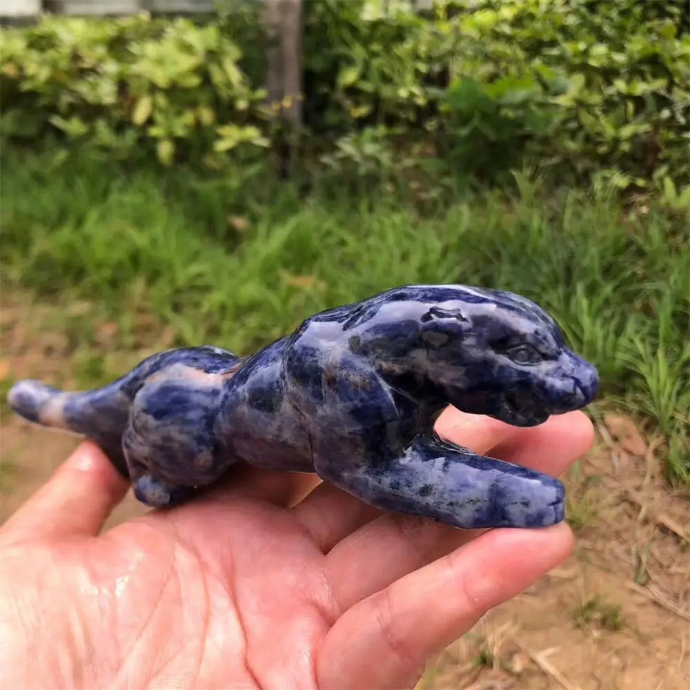 Blue Sodalite Cheetah-ToShay.org