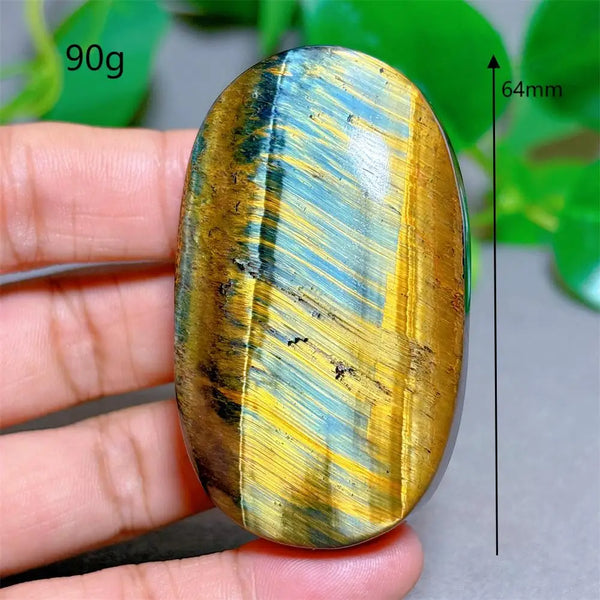 Blue Yellow Tiger Eye-ToShay.org